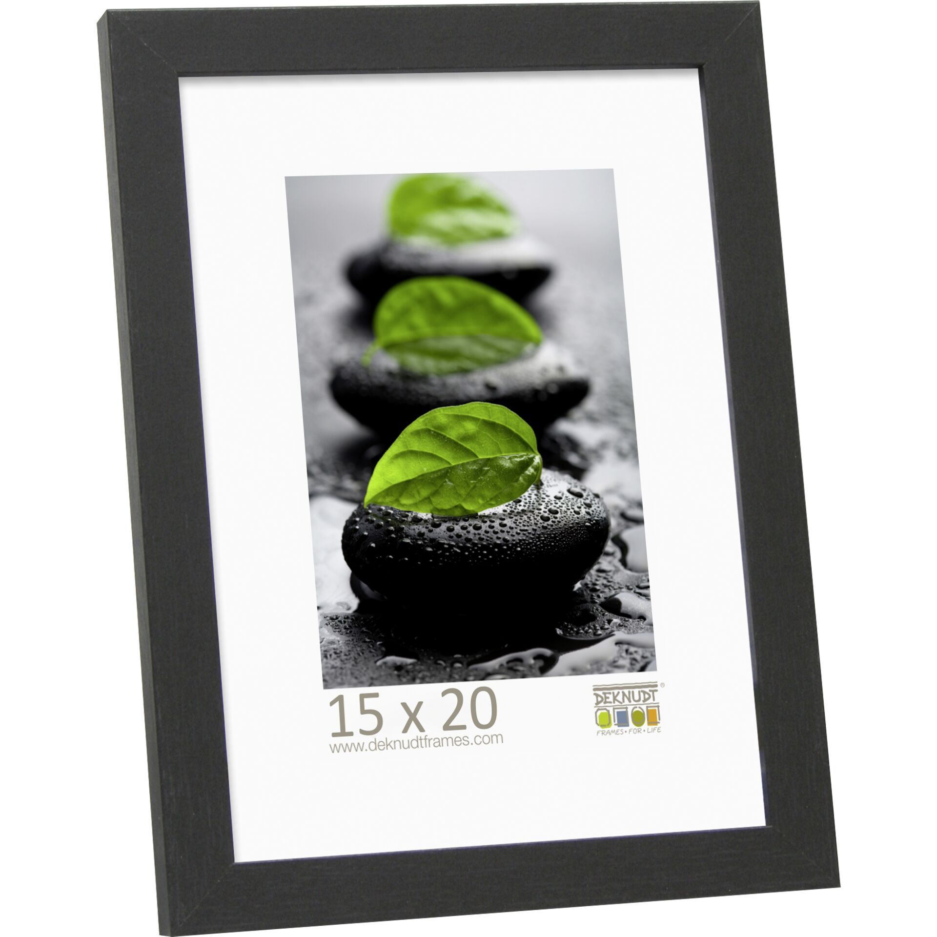 Leaf, Plant