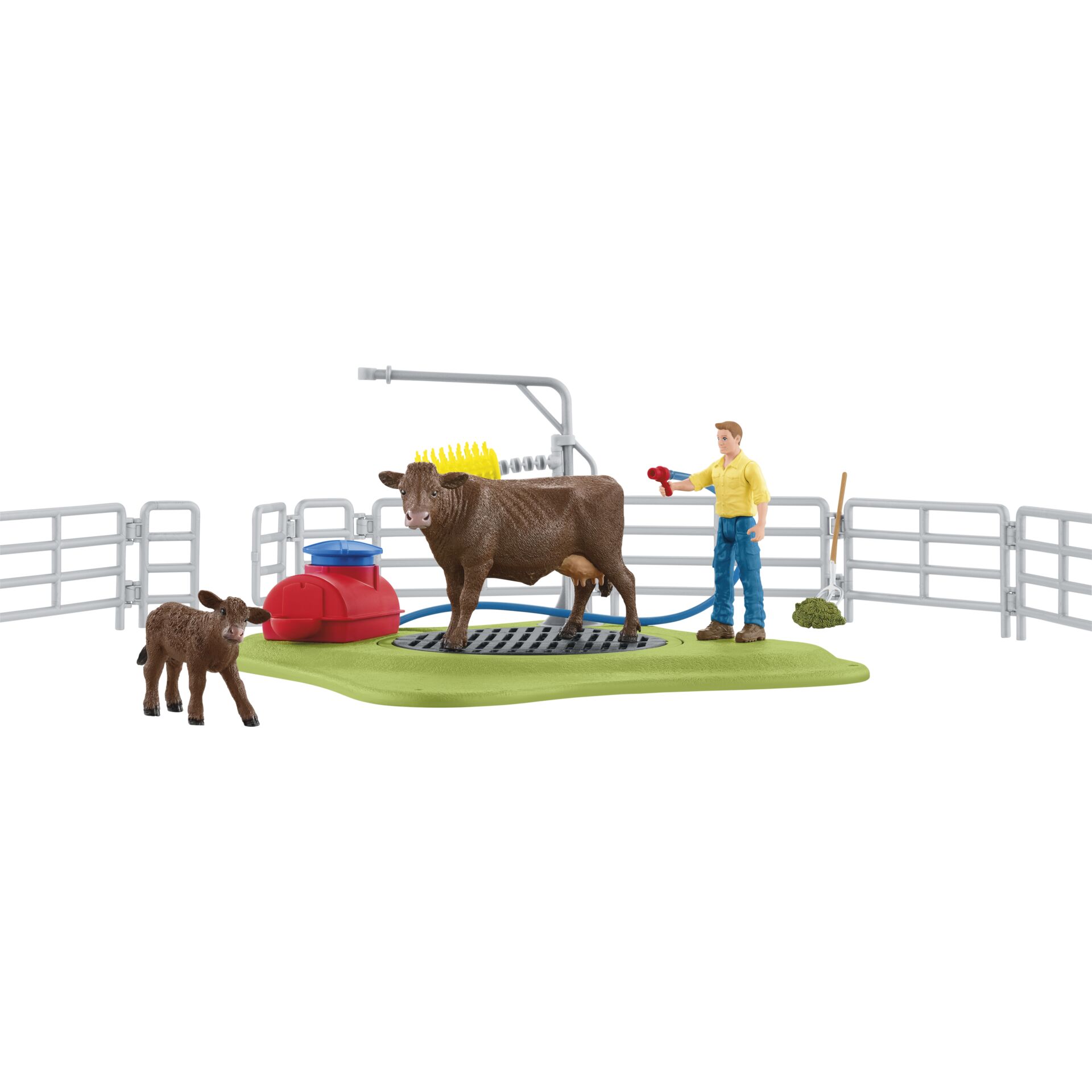 Boy, Child, Male, Person, Bull