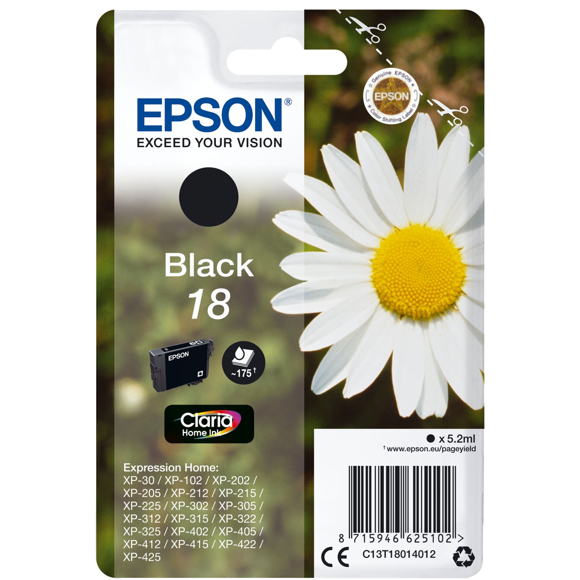 Daisy, Flower, Plant, Ice Hockey Puck, Sport