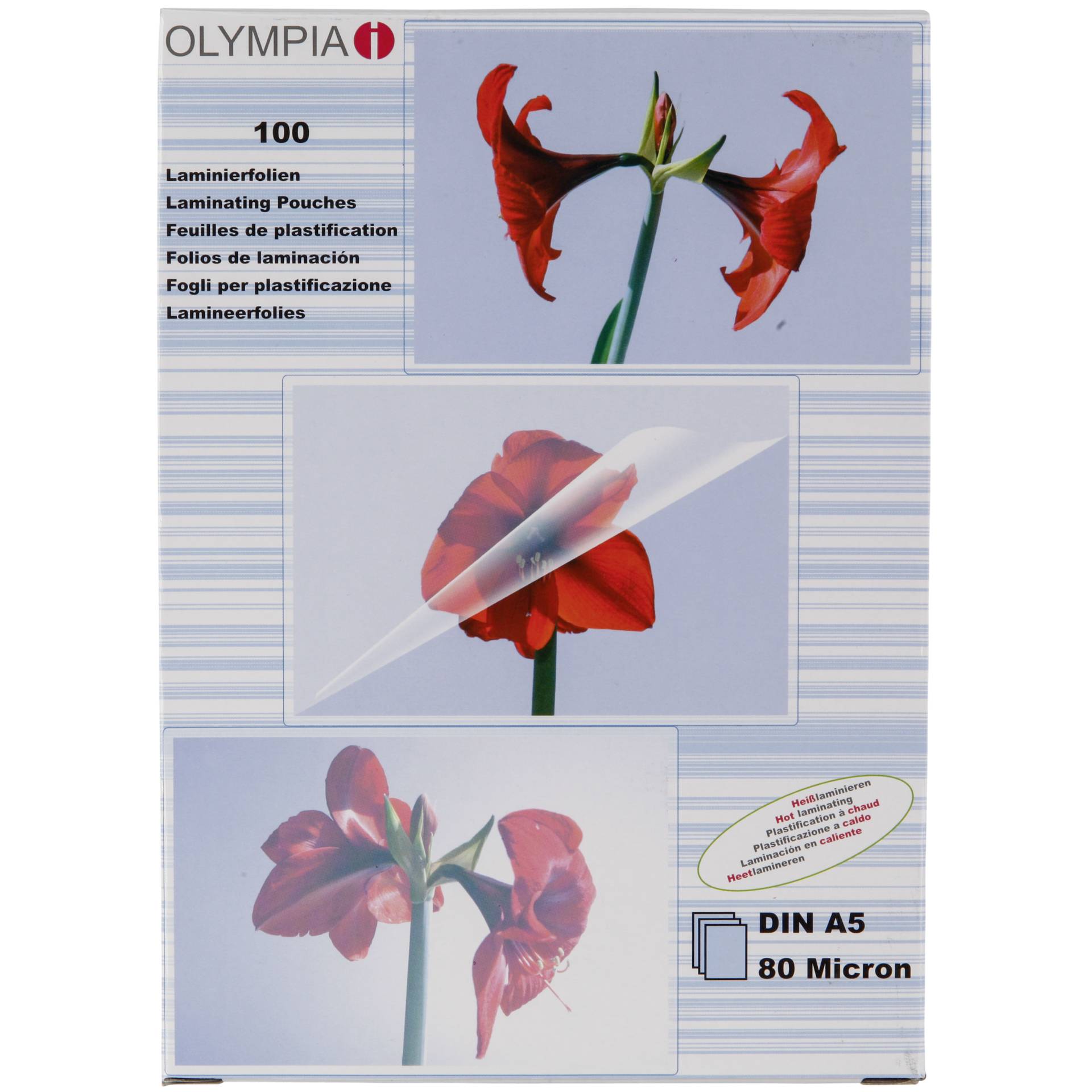 Blume, Pflanze, Werbung, Plakat, Blütenblatt