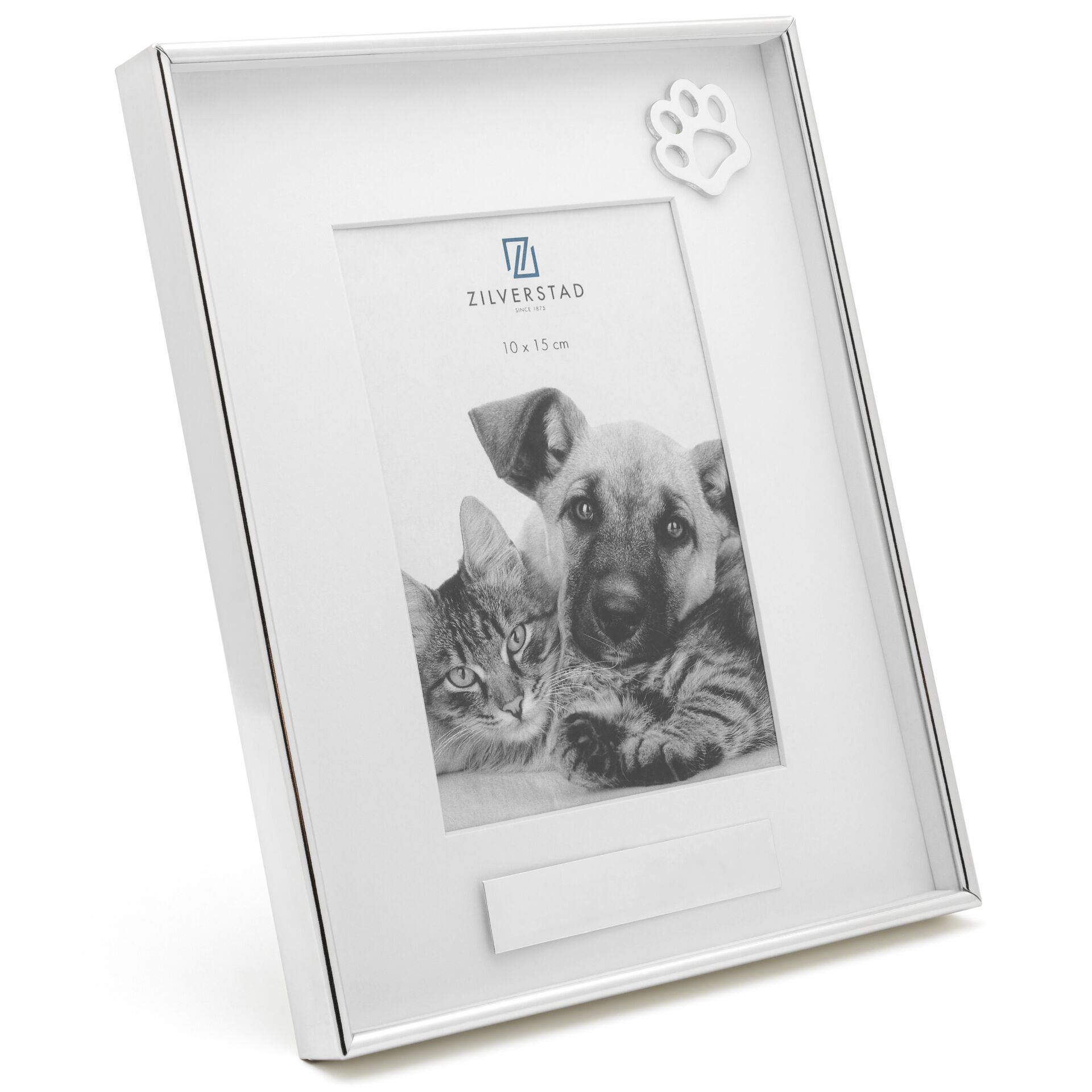 Canine, Dog, Mammal, Pet, Cat