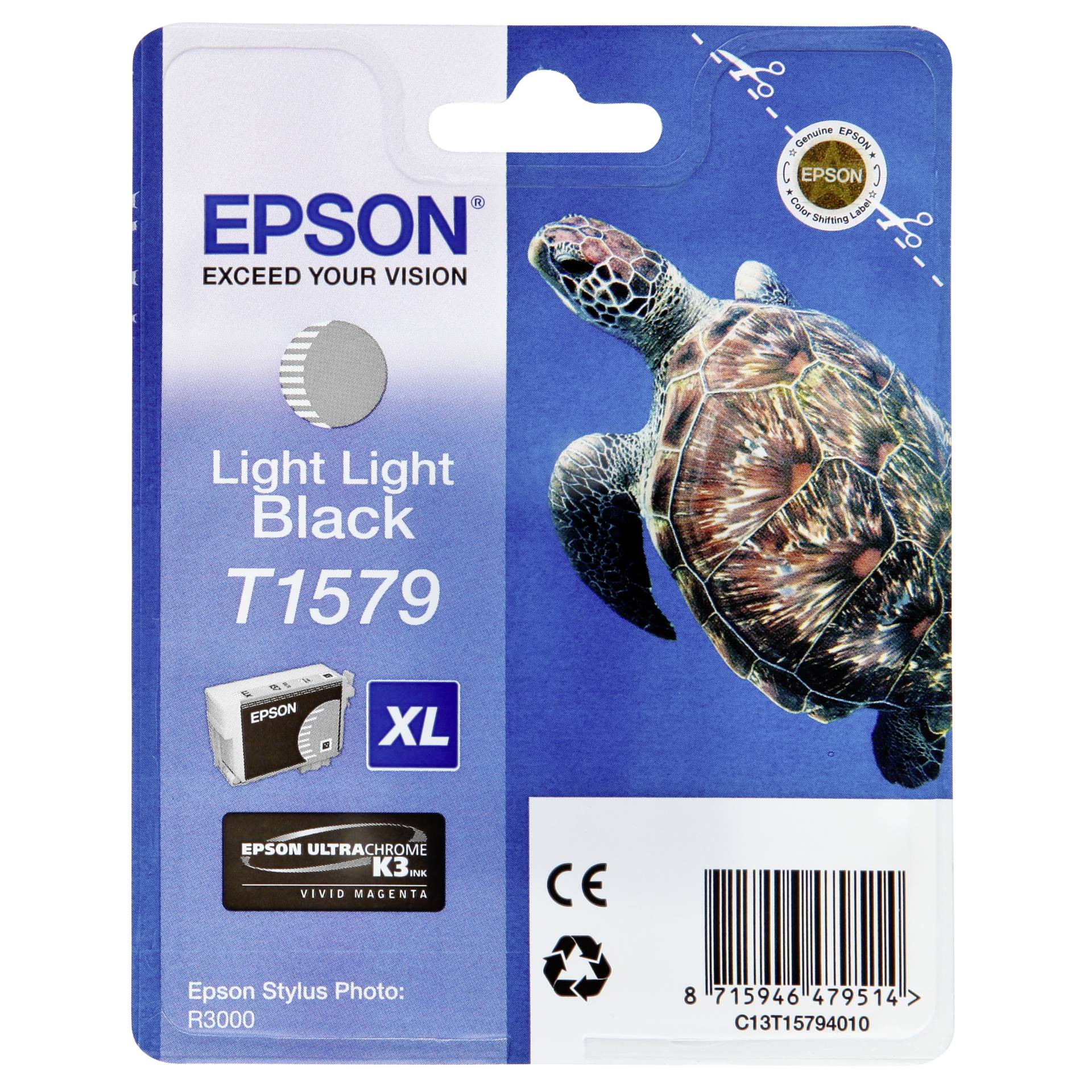 Animal, Reptile, Sea Life, Turtle