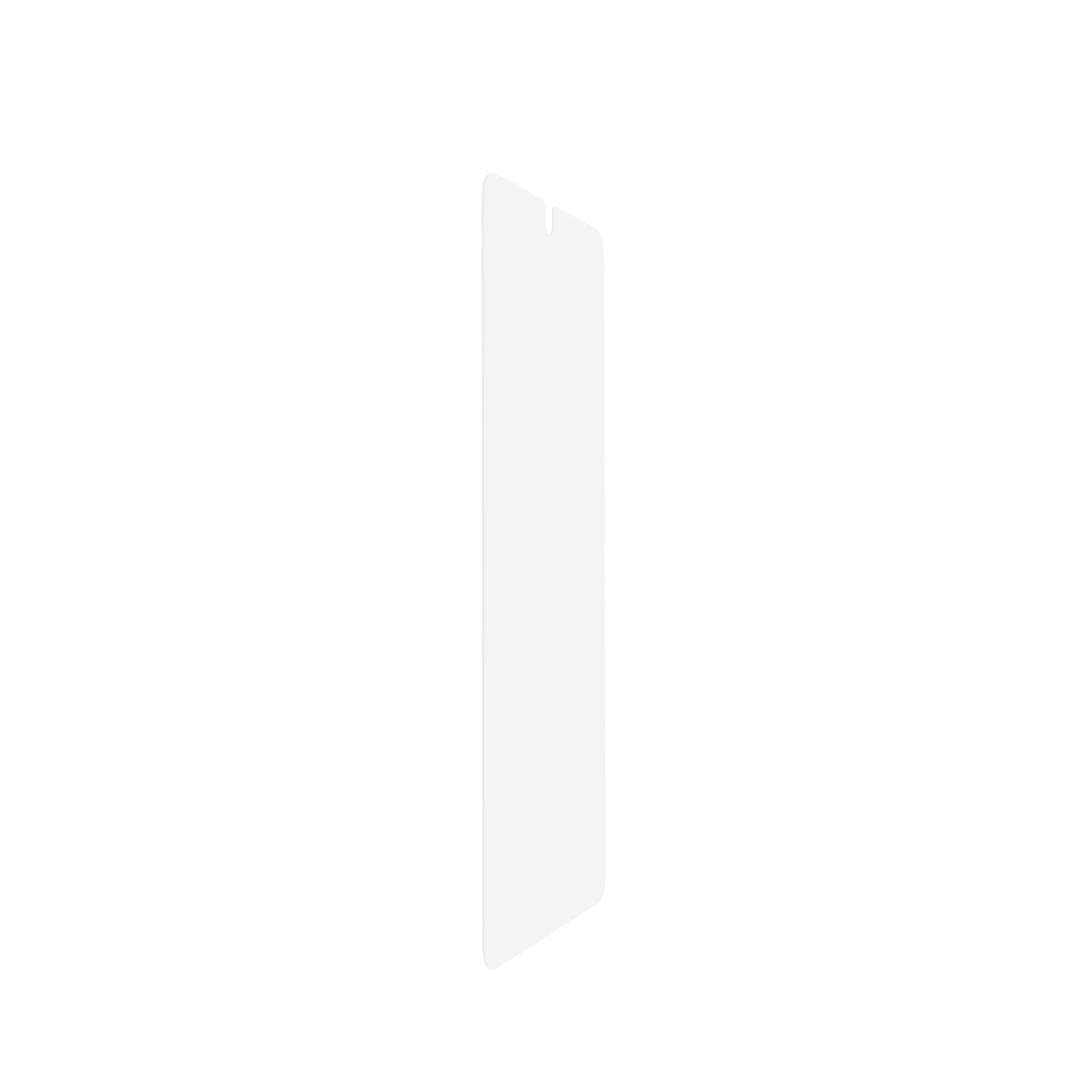 Türspanner, Türstopper, Türblatt, Hochformat, Glatt