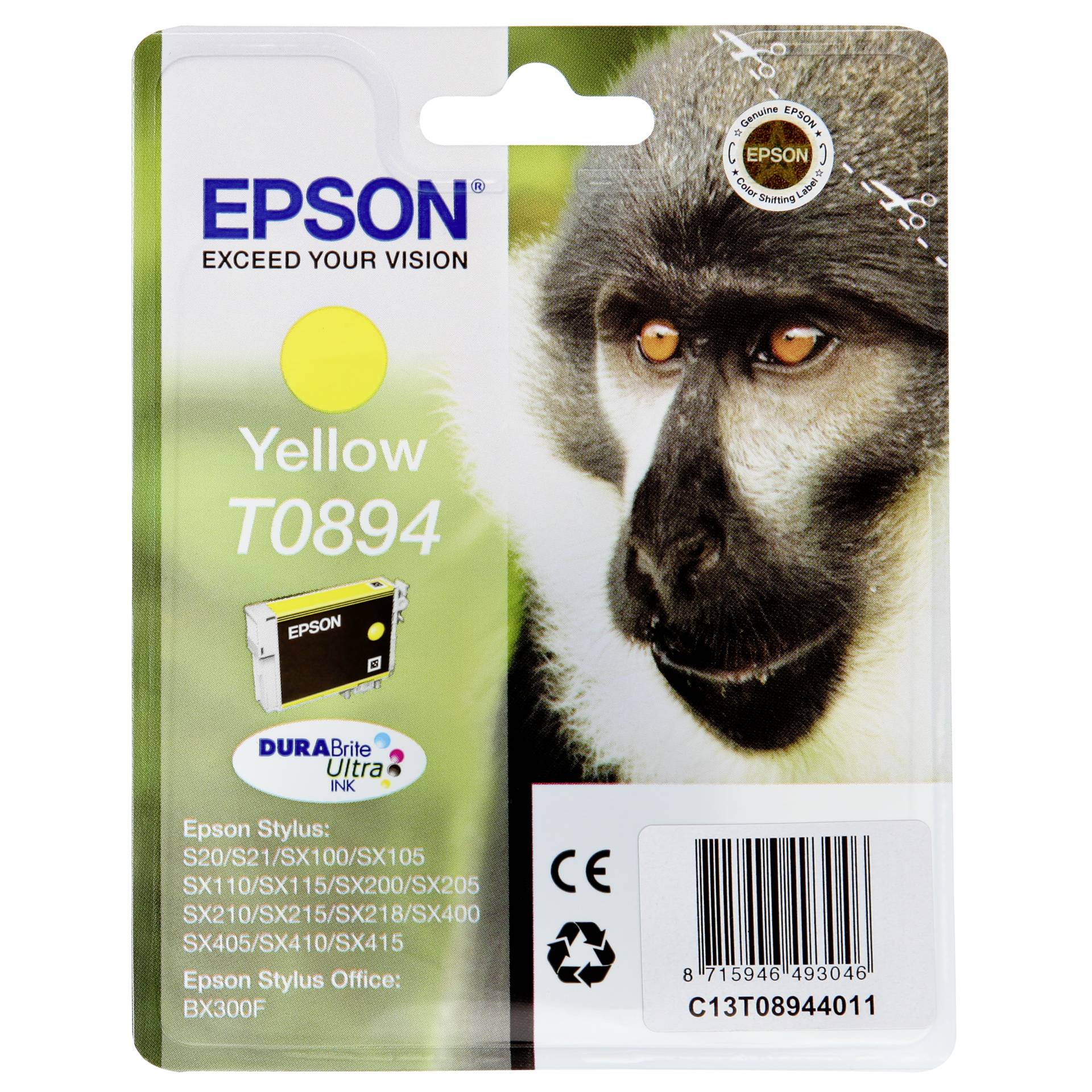 Animal, Mammal, Monkey, Wildlife