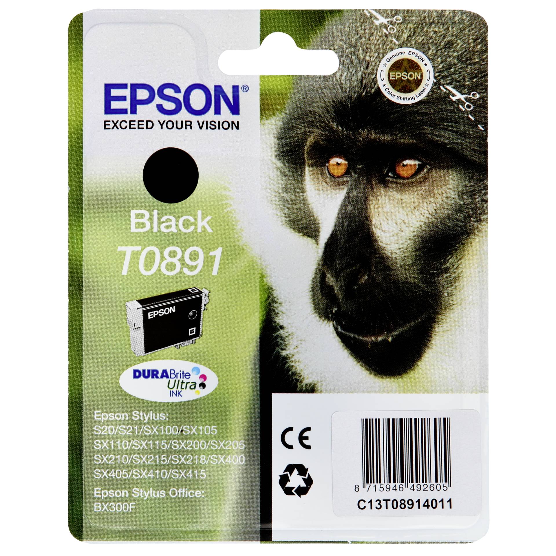 Animal, Mammal, Monkey, Wildlife