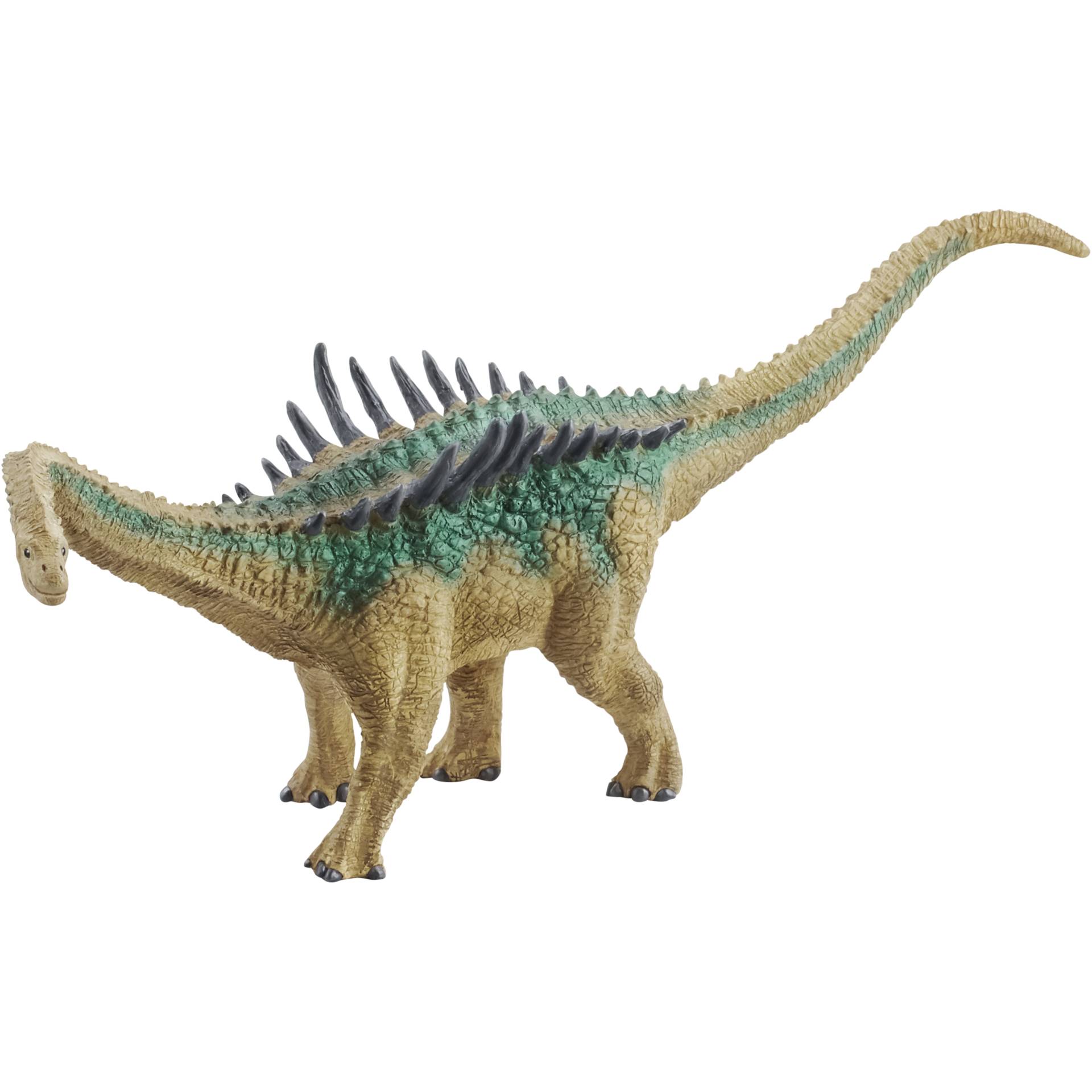 Animal, Dinosaur, Reptile, T-Rex
