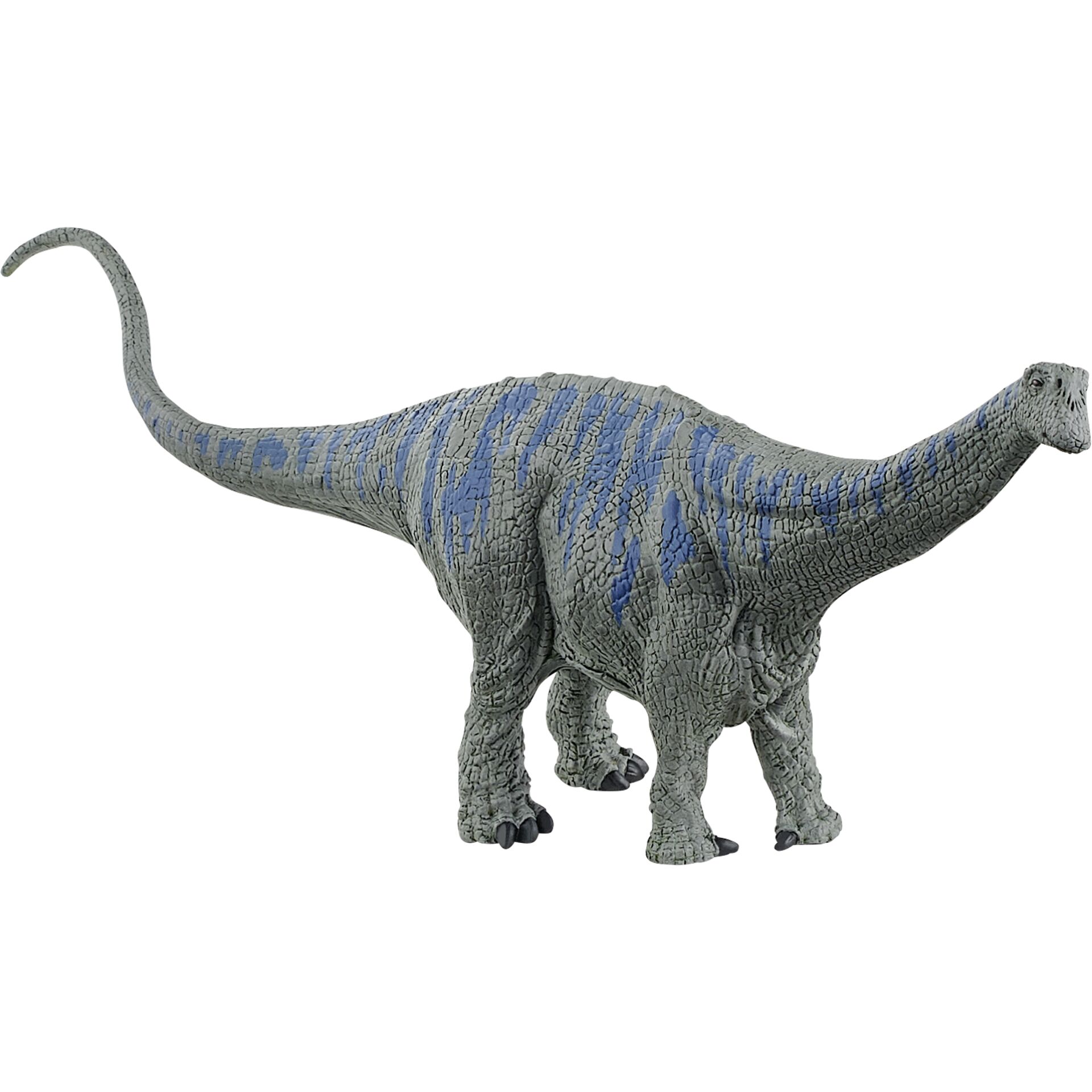 Animal, Dinosaur, Reptile, T-Rex