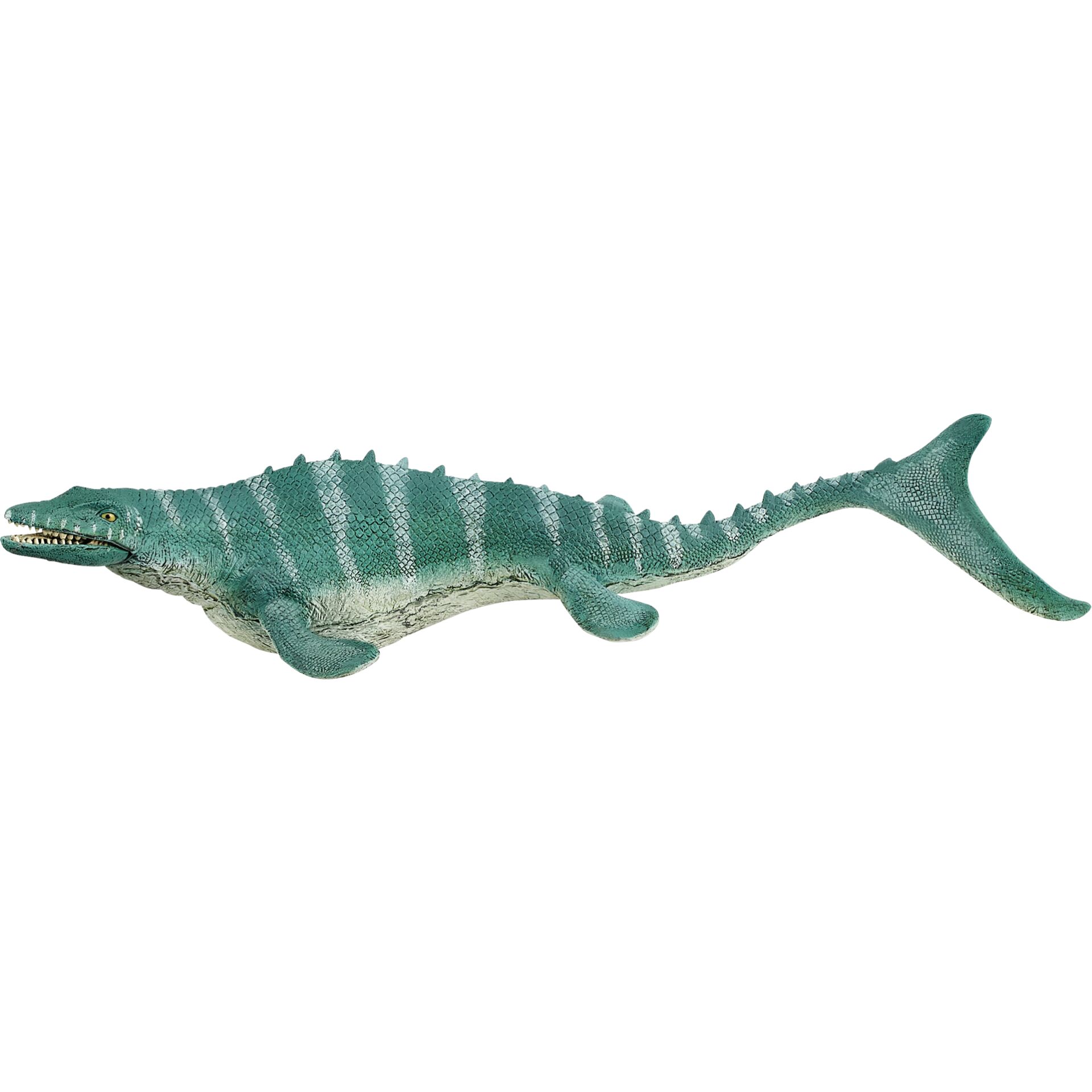 Animal, Lizard, Reptile