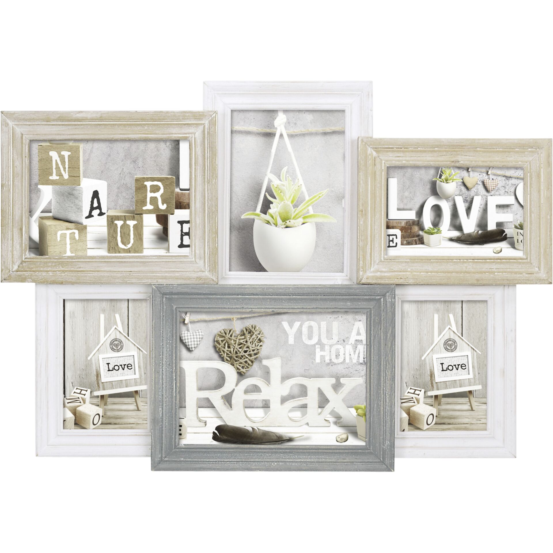 Cabinet, Furniture, Plant