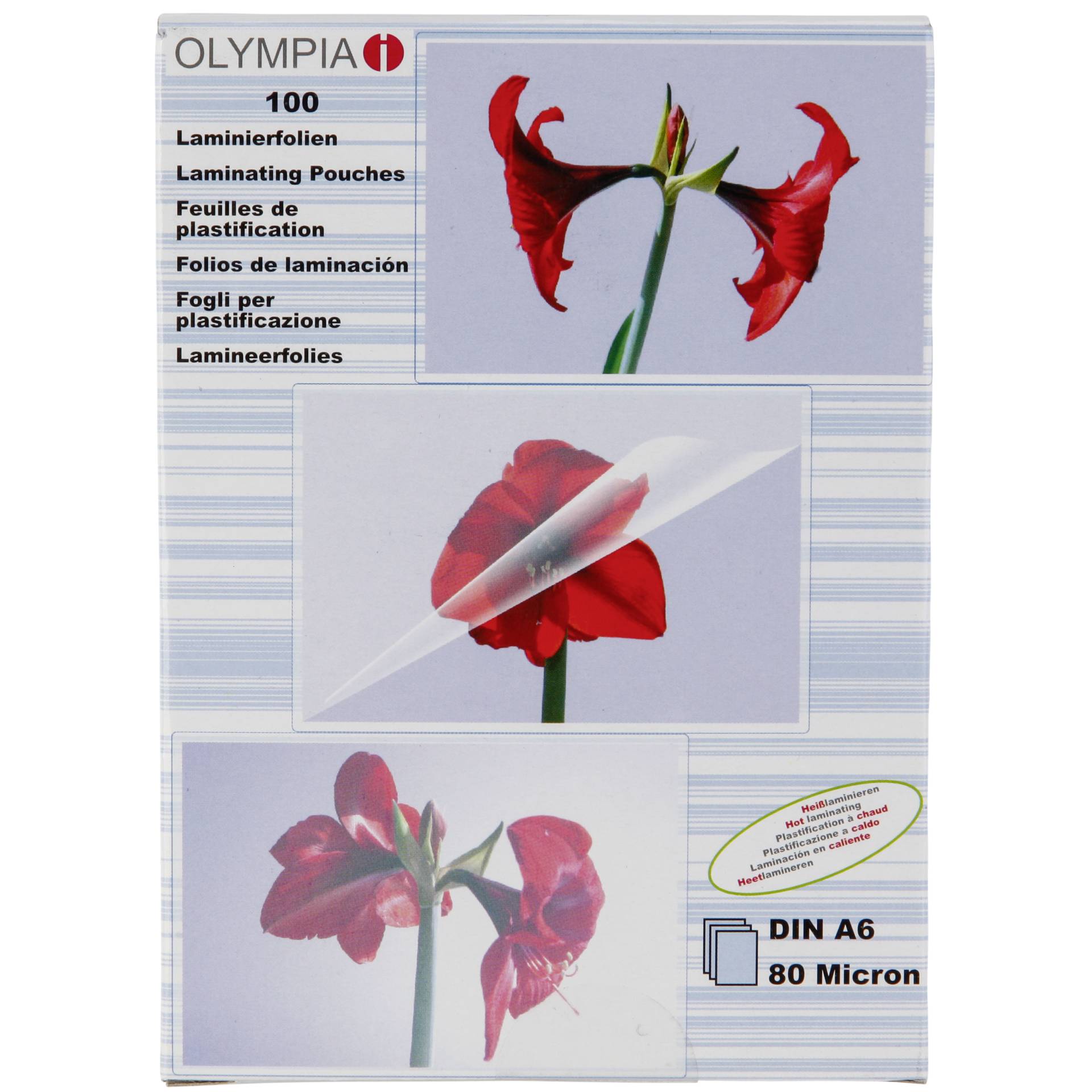 Blume, Pflanze, Blütenblatt, Ein anderes