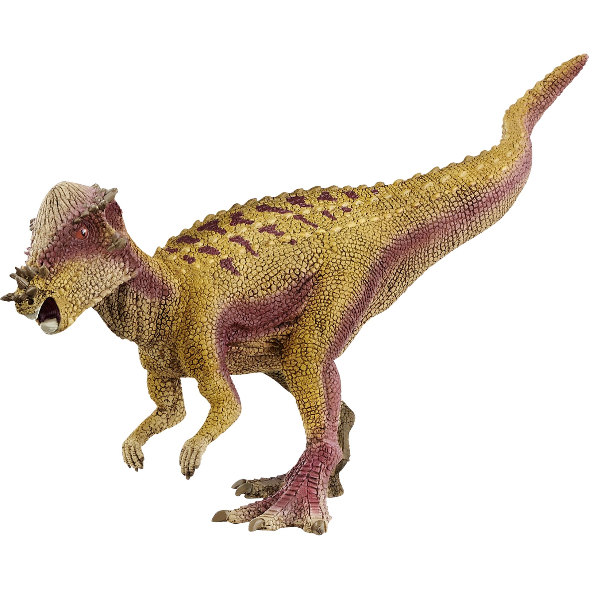 Animal, Dinosaur, Reptile, T-Rex
