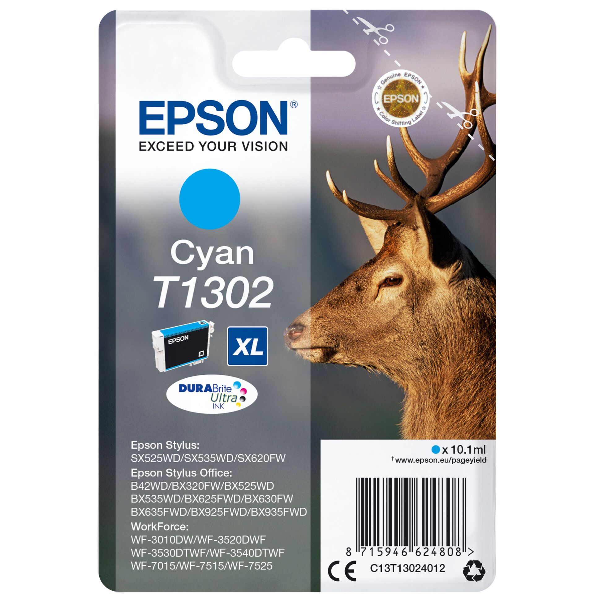 Animal, Deer, Mammal, Wildlife, Antelope