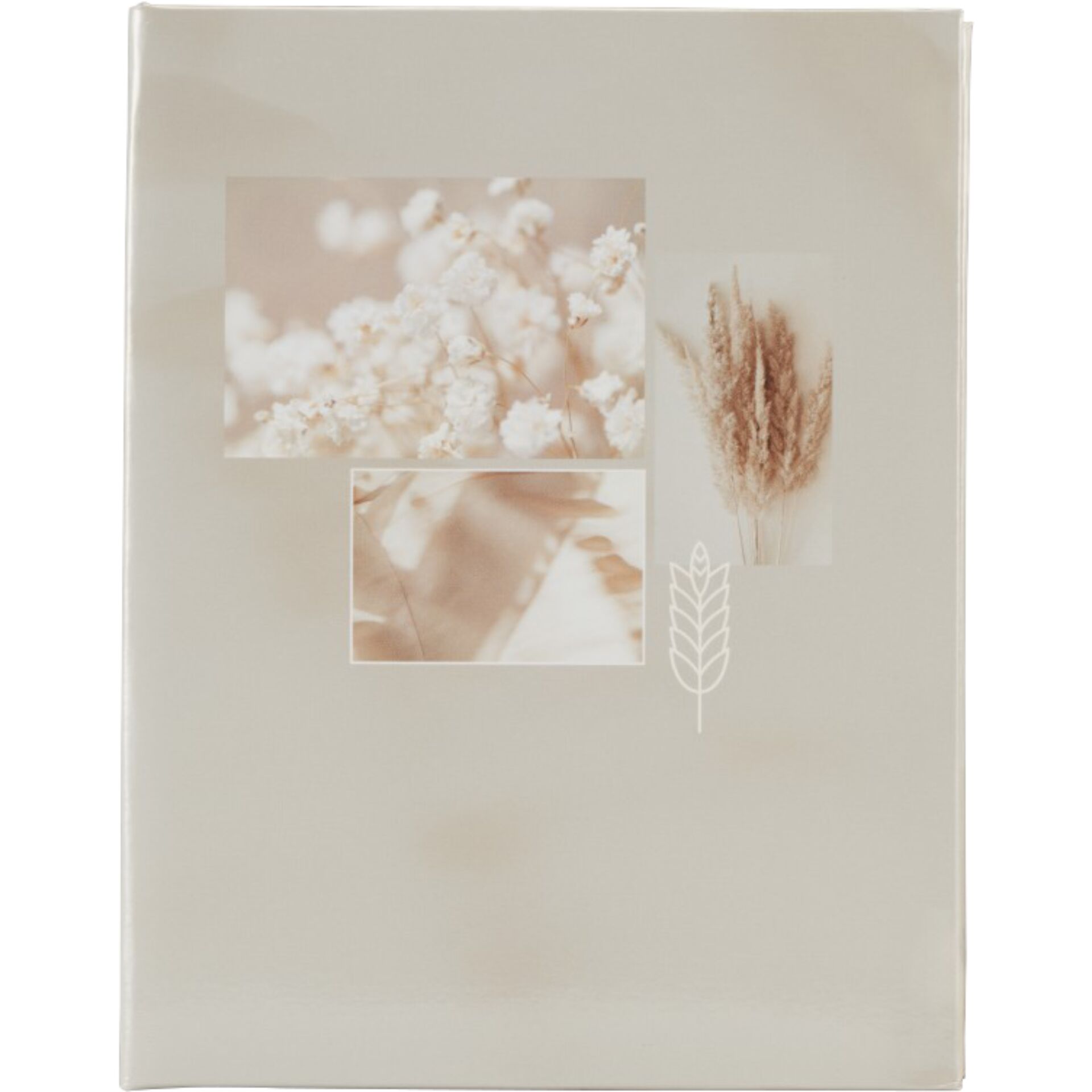 Flower, Plant