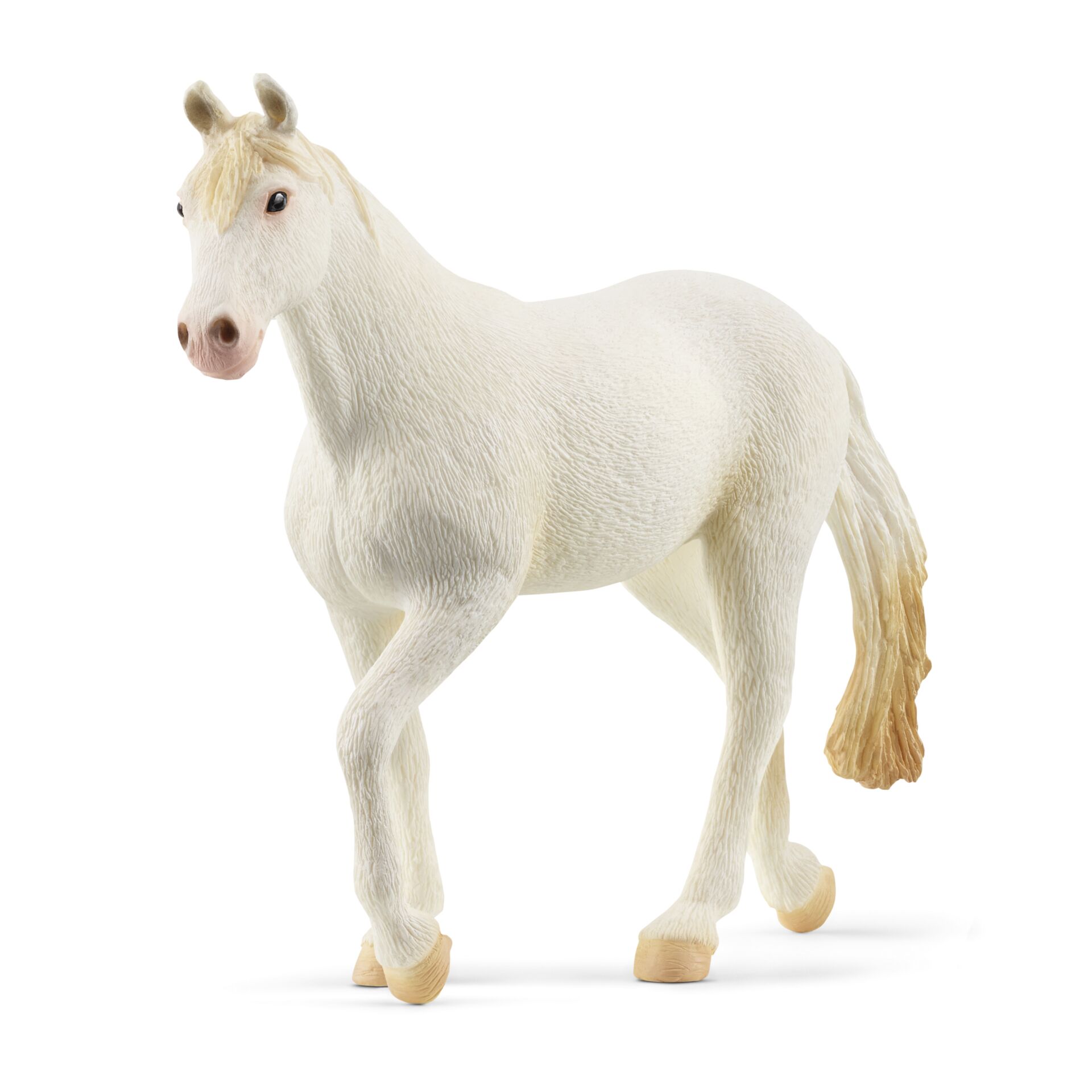 Animal, Horse, Mammal, Colt Horse