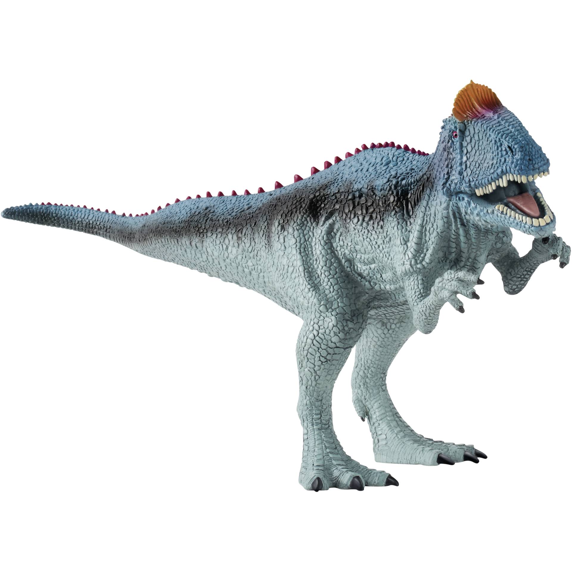 Animal, Dinosaur, Reptile, T-Rex