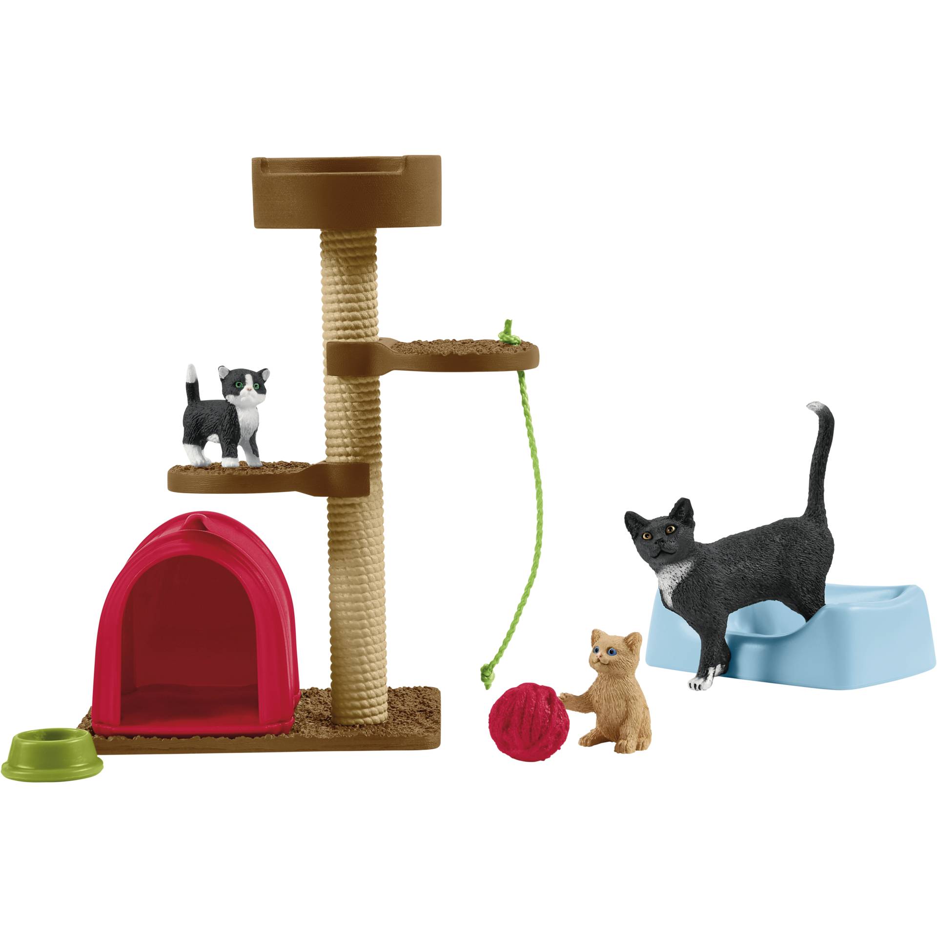 Indoors, Cat, Pet, Bear, Wildlife