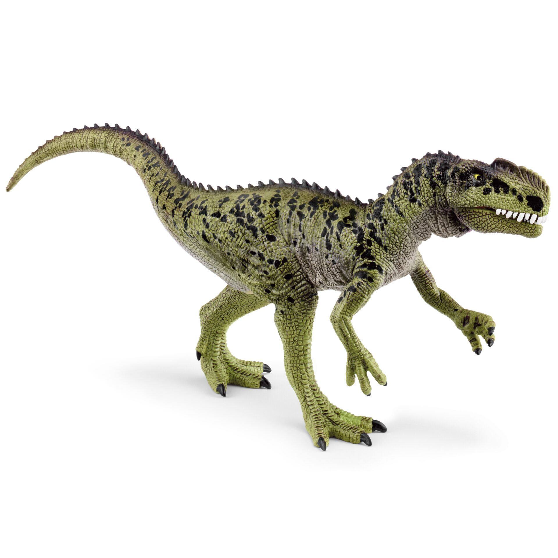 Animal, Dinosaur, Reptile, T-Rex
