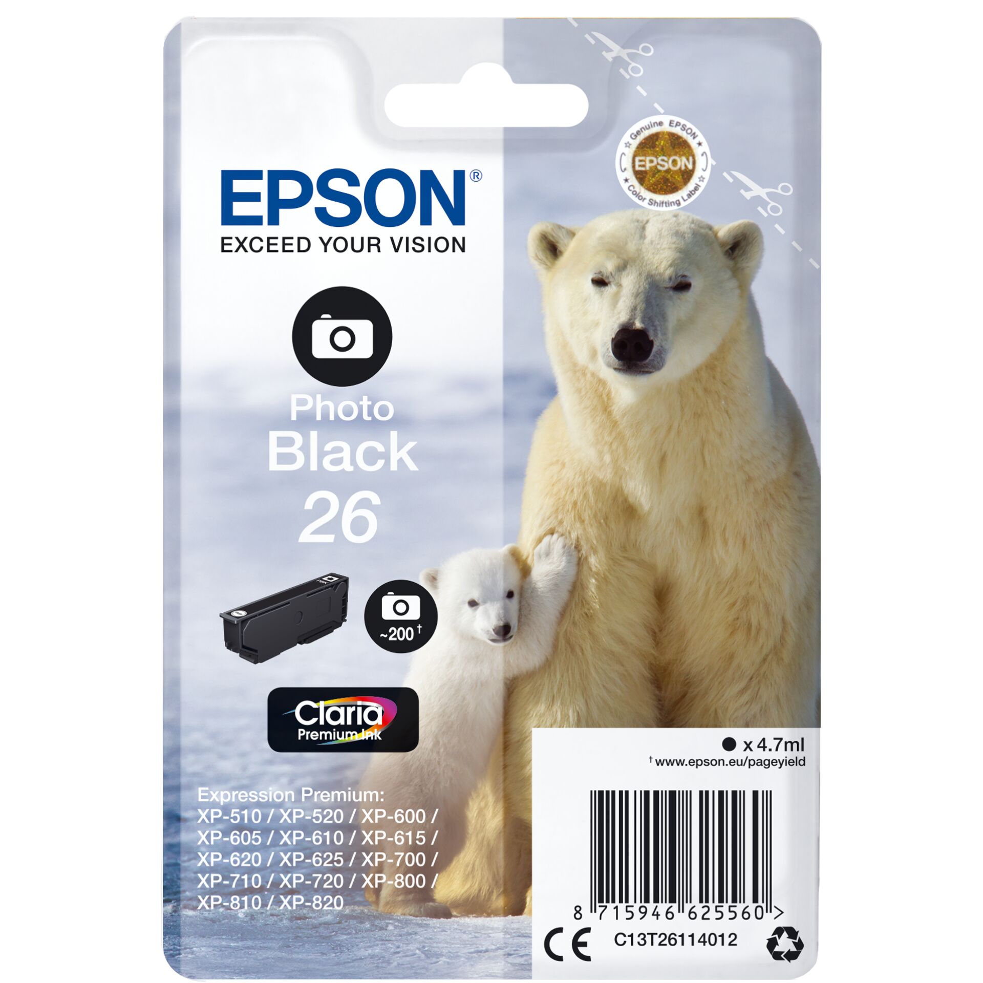 Animal, Bear, Mammal, Wildlife, Polar Bear