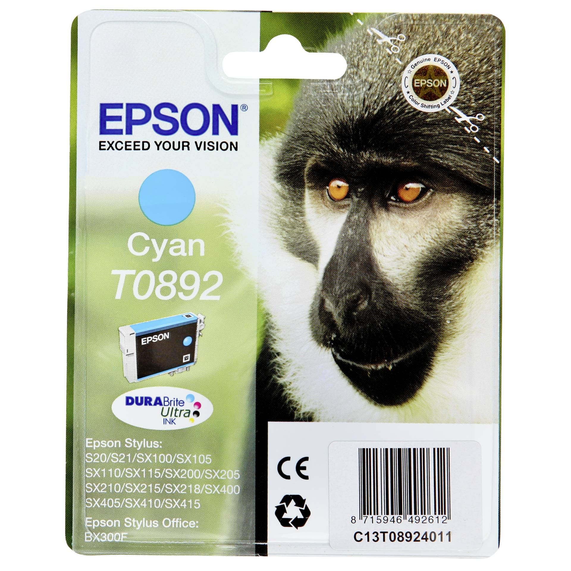 Animal, Mammal, Monkey, Wildlife
