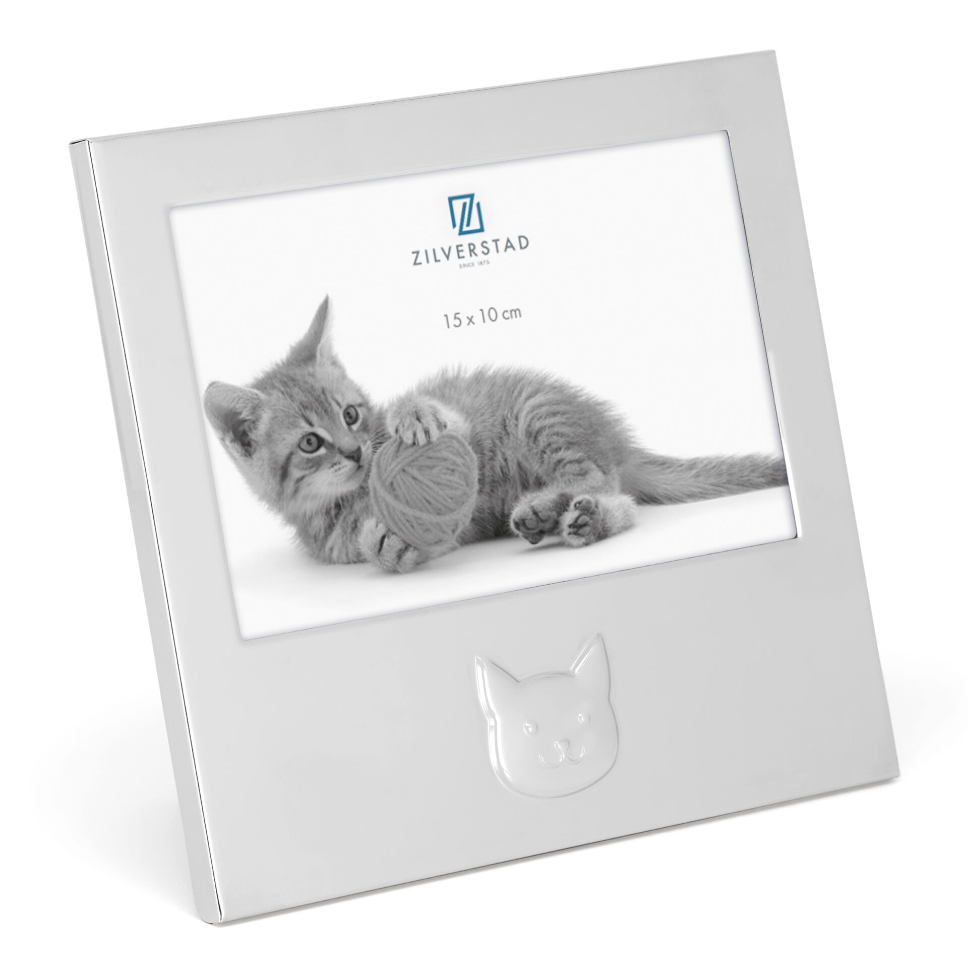 Tier, Katze, Kätzchen, Säugetier, Haustier
