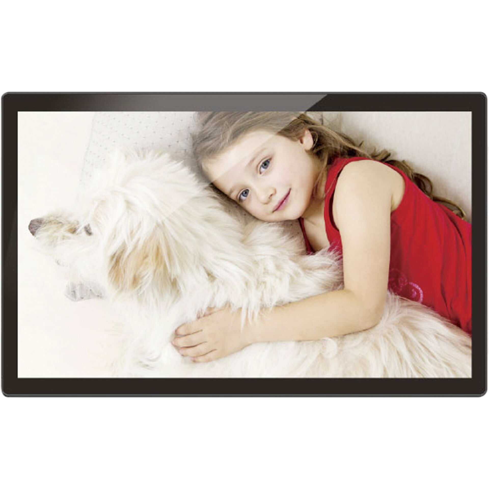 Person, Photography, Portrait, Dog, Home Decor