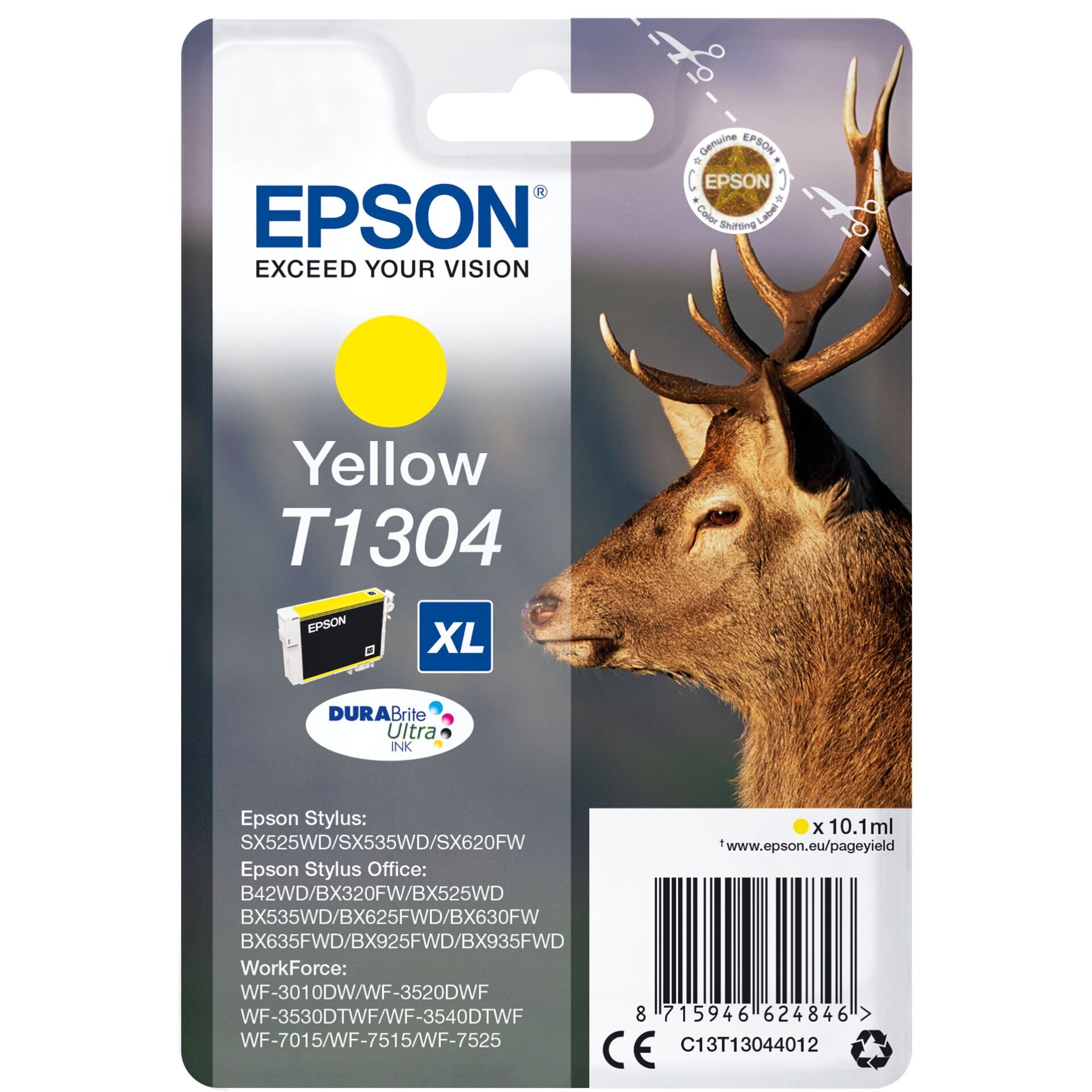 Animal, Deer, Mammal, Wildlife, Antelope