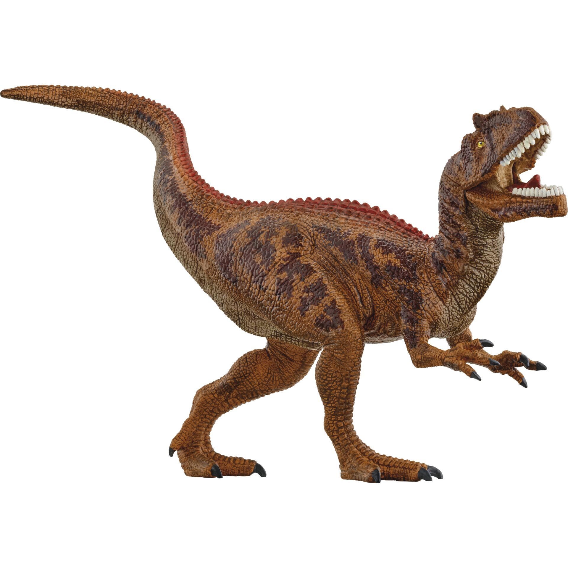 Animal, Dinosaur, Reptile, T-Rex