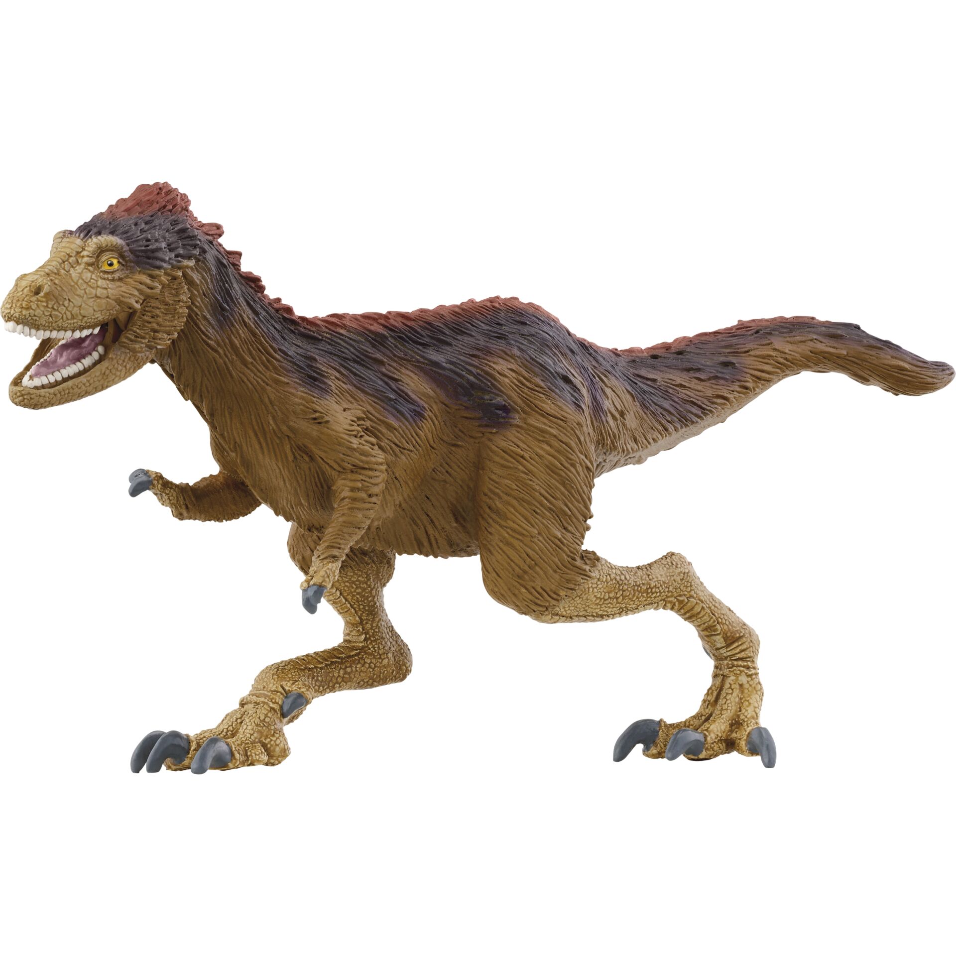 Animal, Dinosaur, Reptile, T-Rex