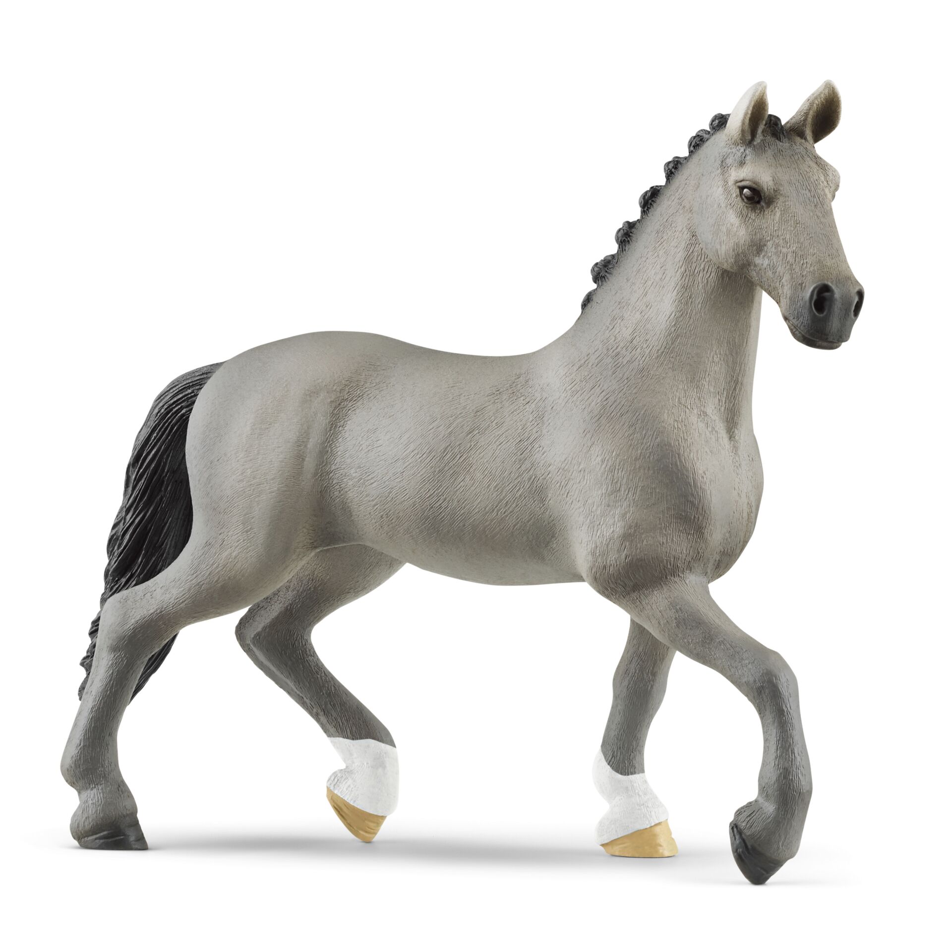 Animal, Horse, Mammal, Andalusian Horse