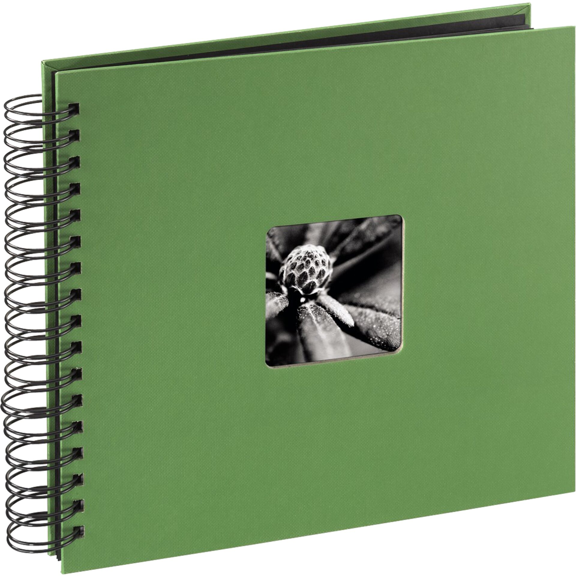 Diary, Spiral