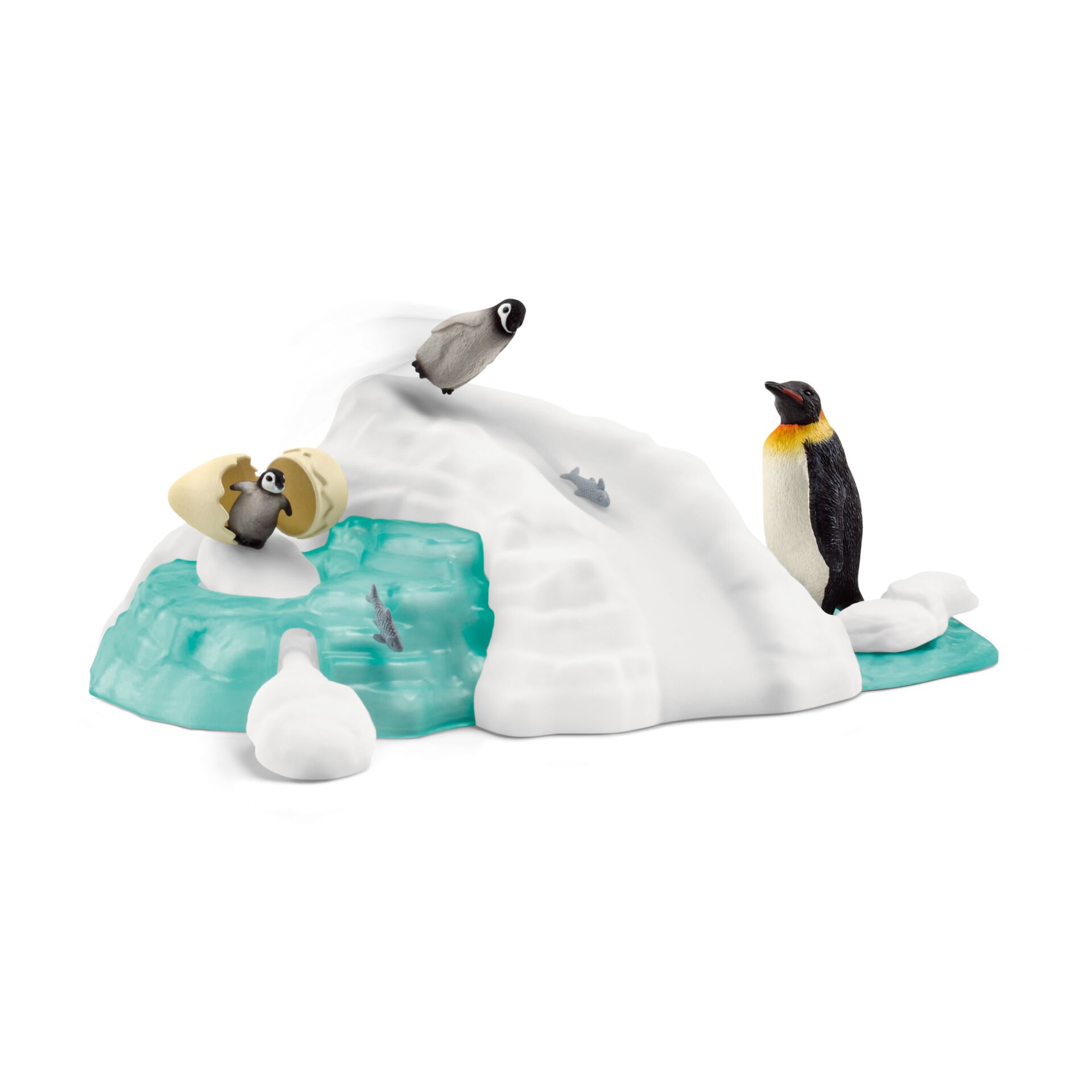 Animal, Bird, Penguin, Outdoors, Nature