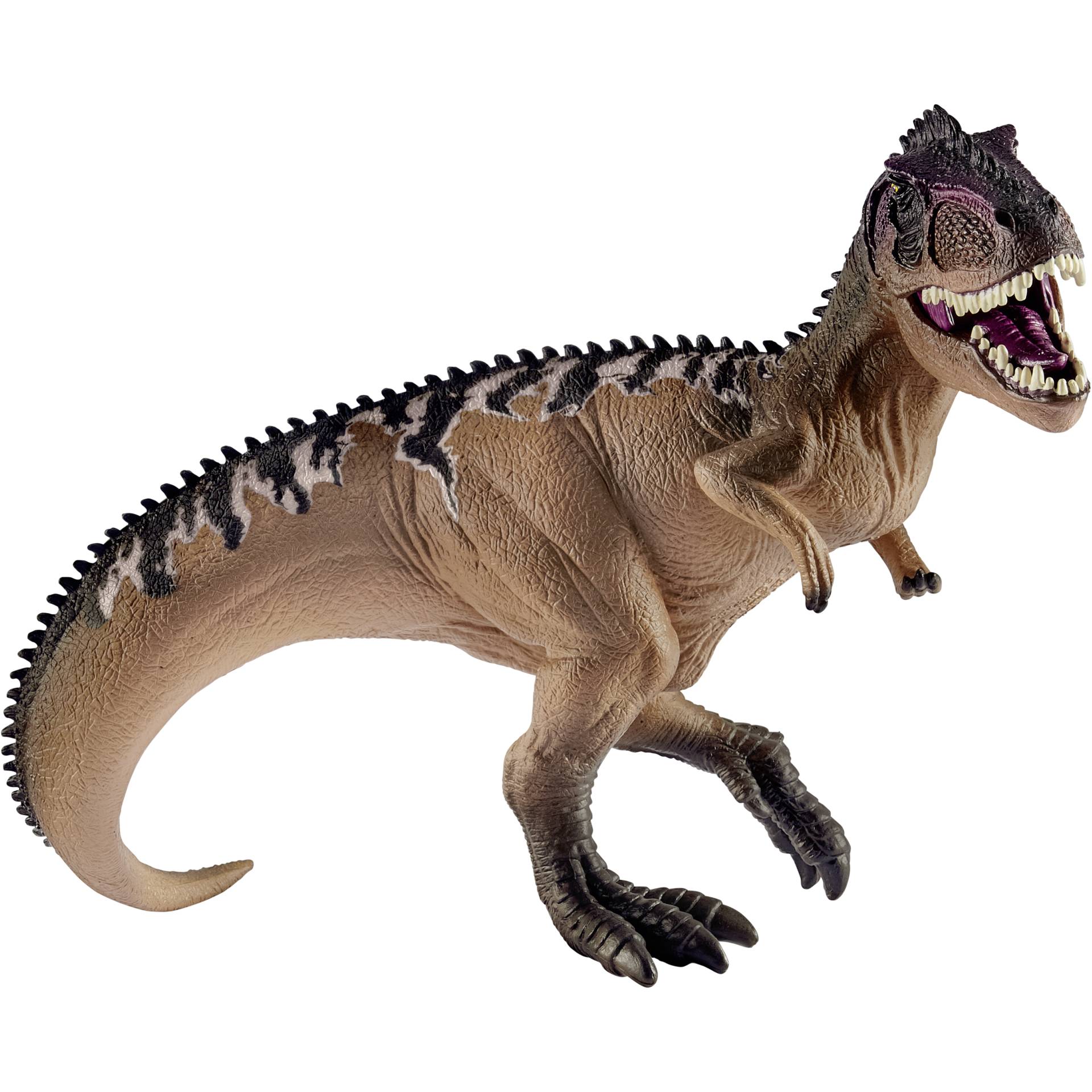 Animal, Dinosaur, Reptile, T-Rex