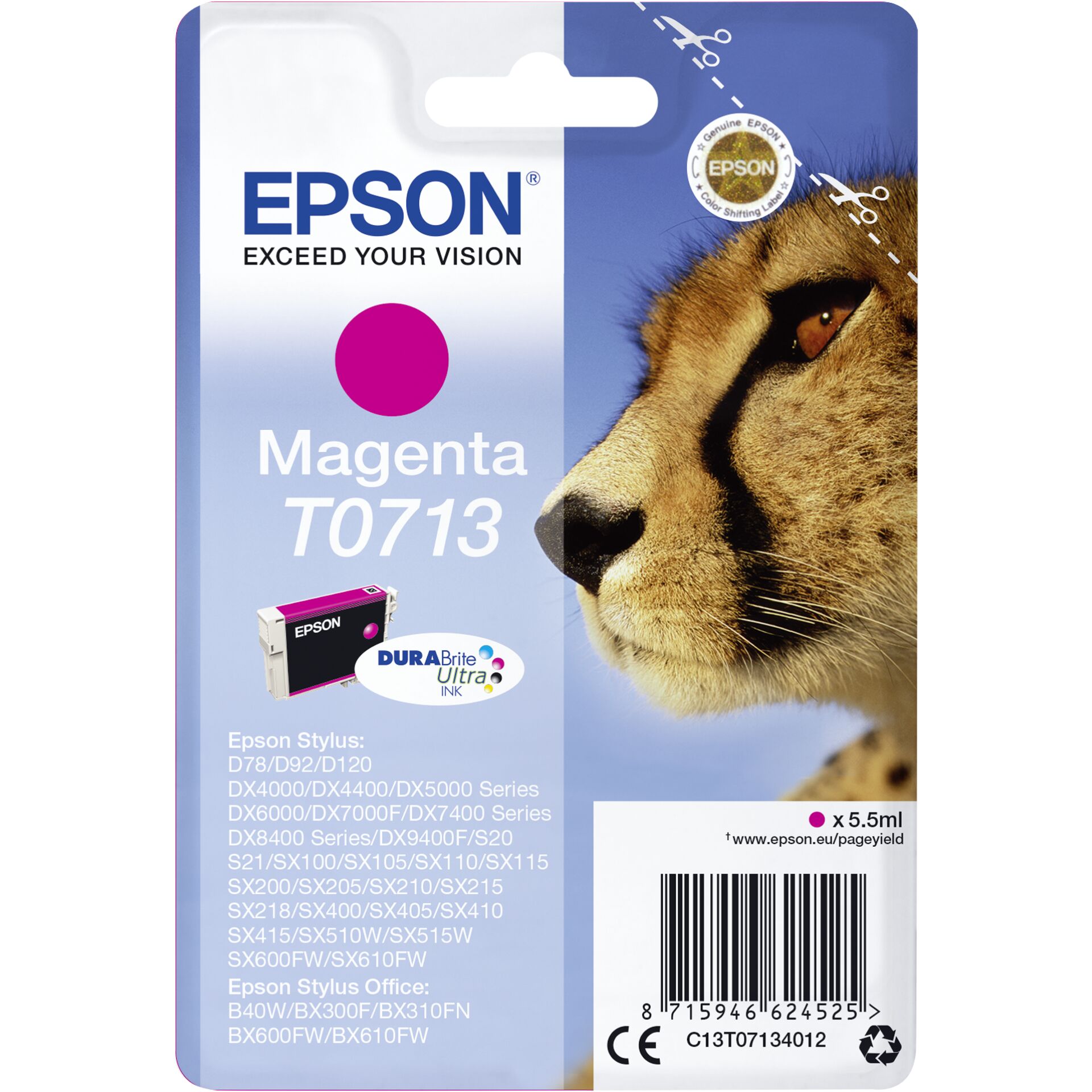 Animal, Cheetah, Mammal, Wildlife