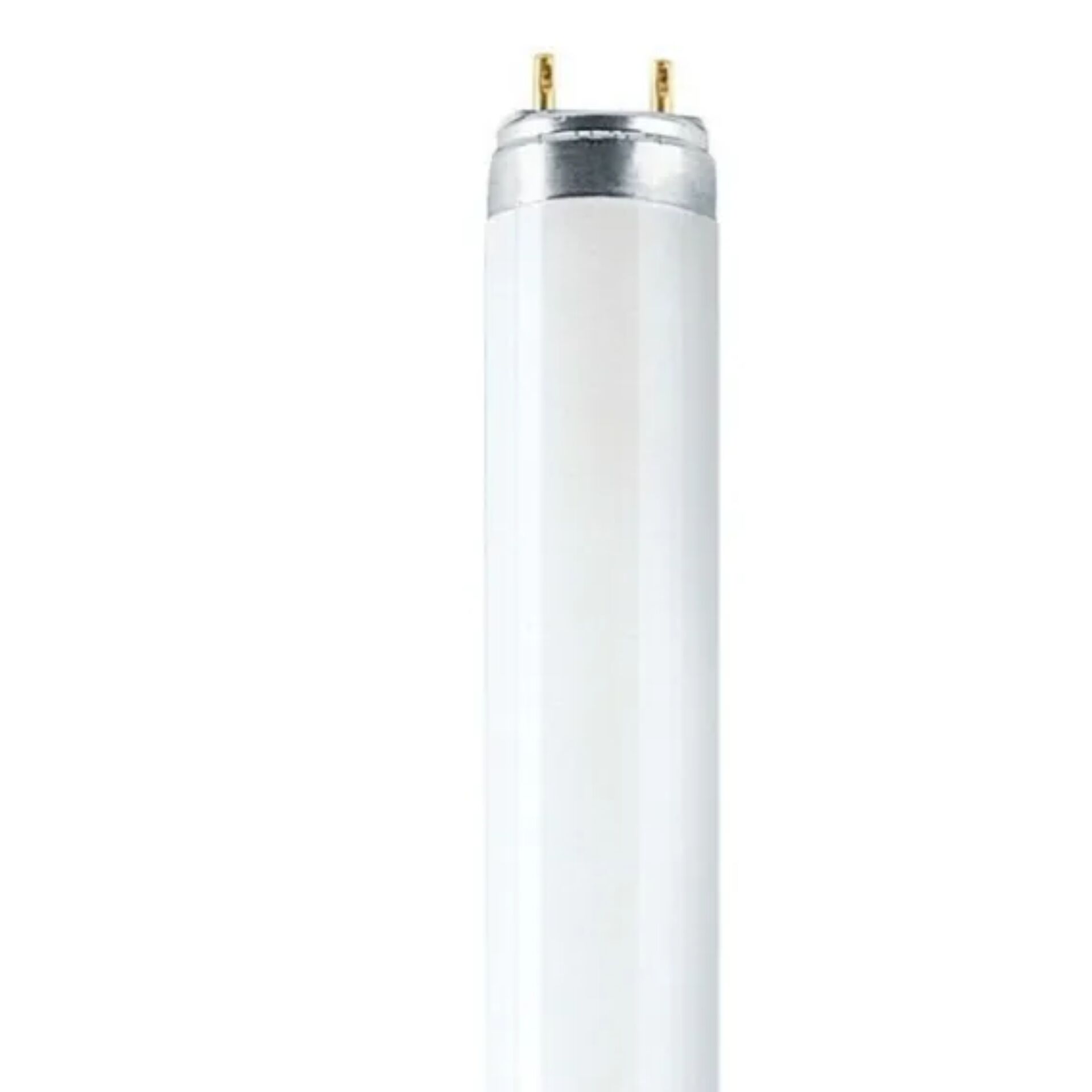 LED-Röhre, Glühbirnenform?, T8-Röhre, Leuchtstoffröhre, Neonröhre