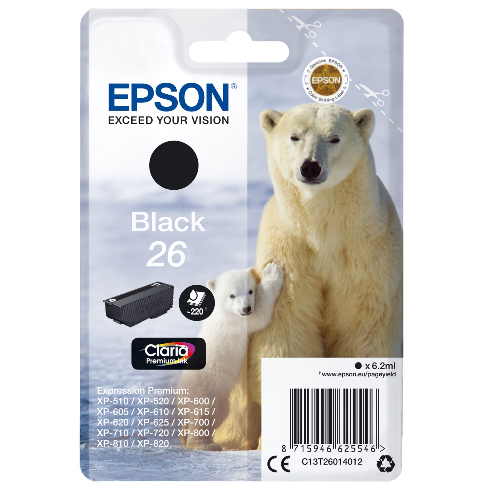 Animal, Bear, Mammal, Wildlife, Polar Bear