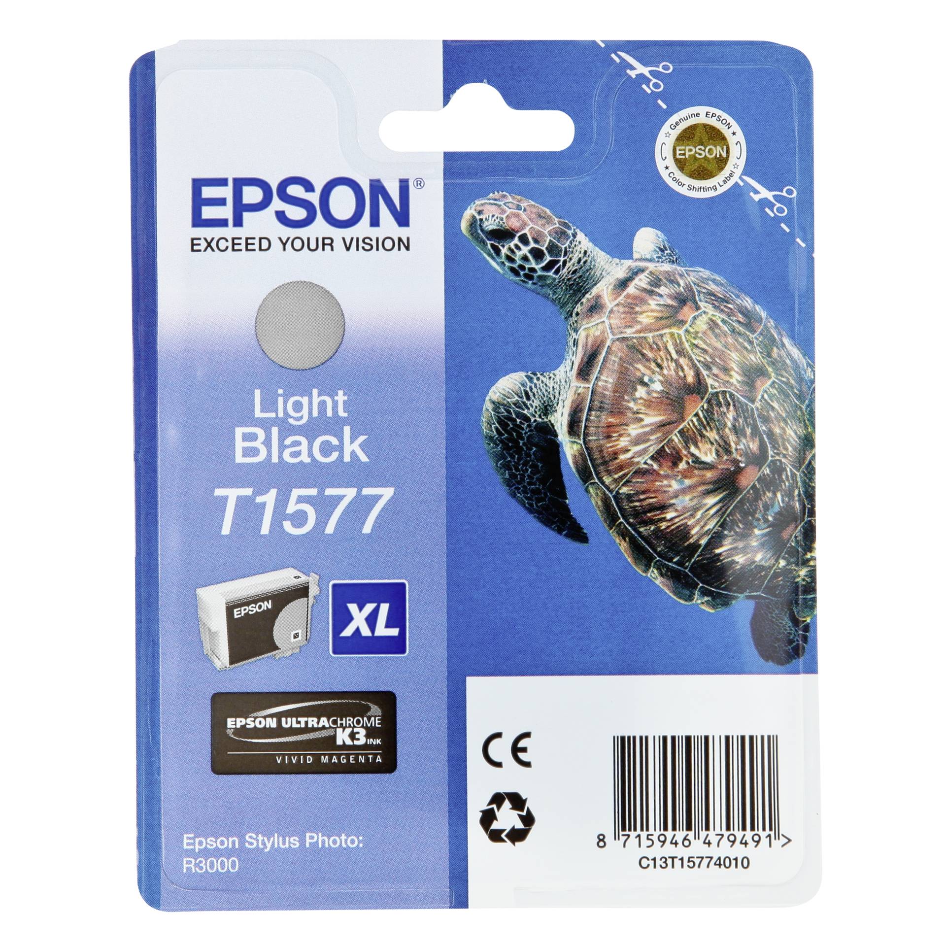 Animal, Reptile, Sea Life, Turtle