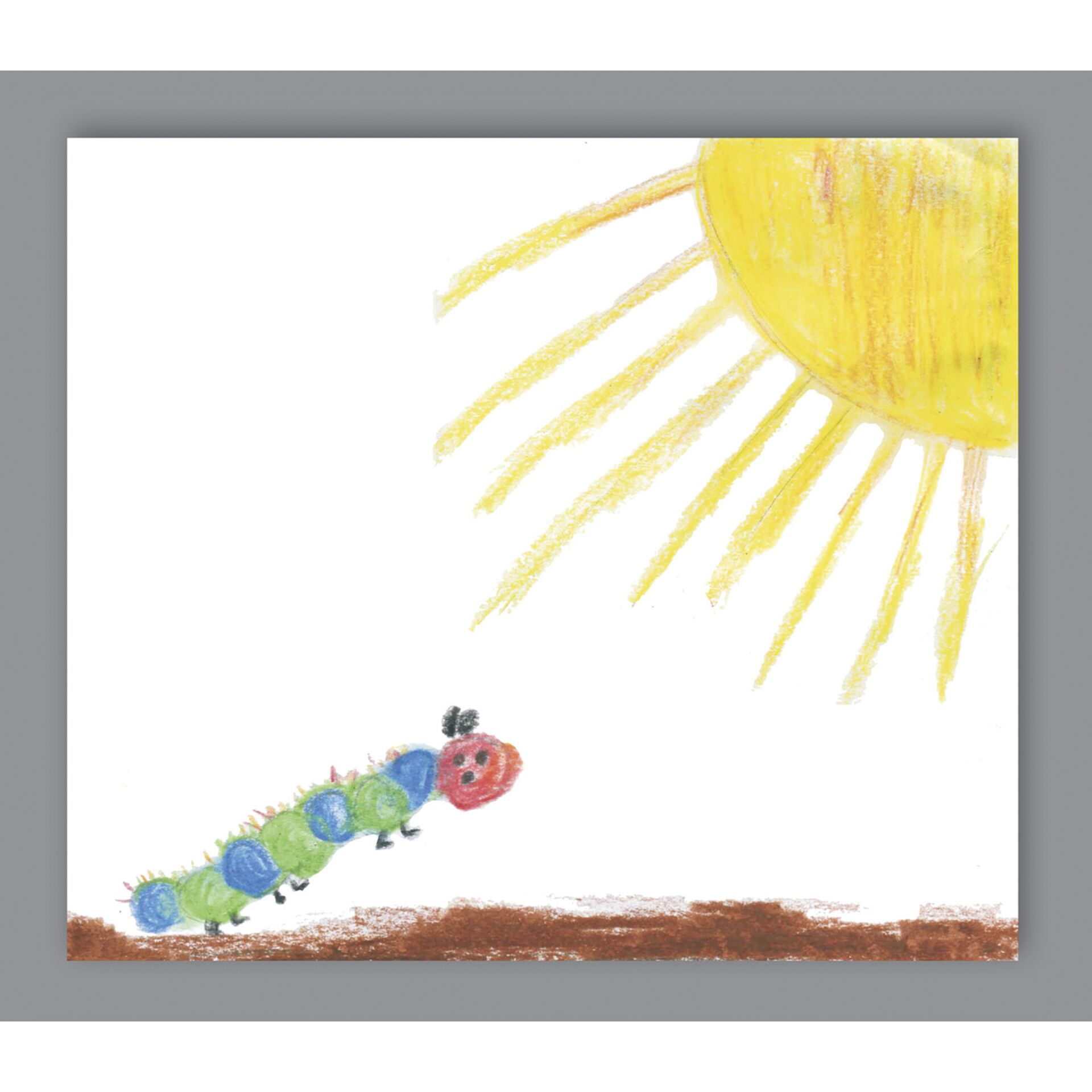 1x25 Daiber Caterpillar 13x18  Portrait folders for children
