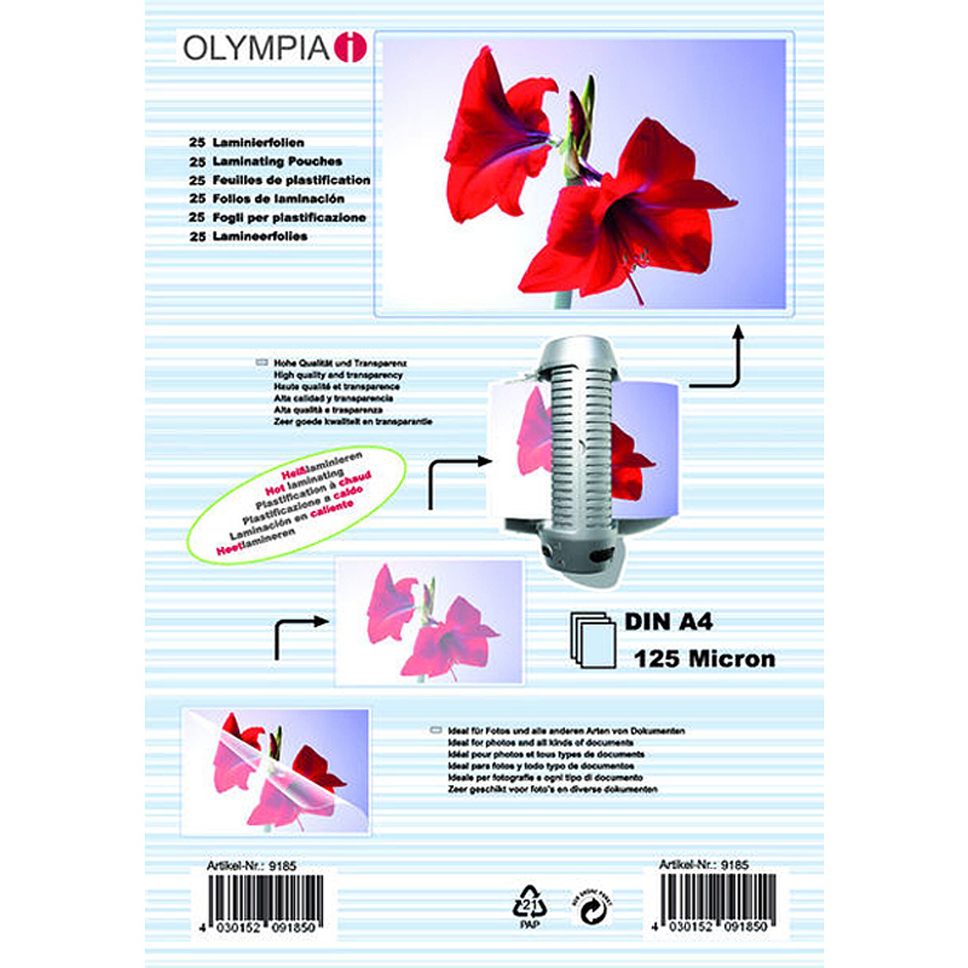 Blume, Blütenblatt, Pflanze, Werbung, Plakat
