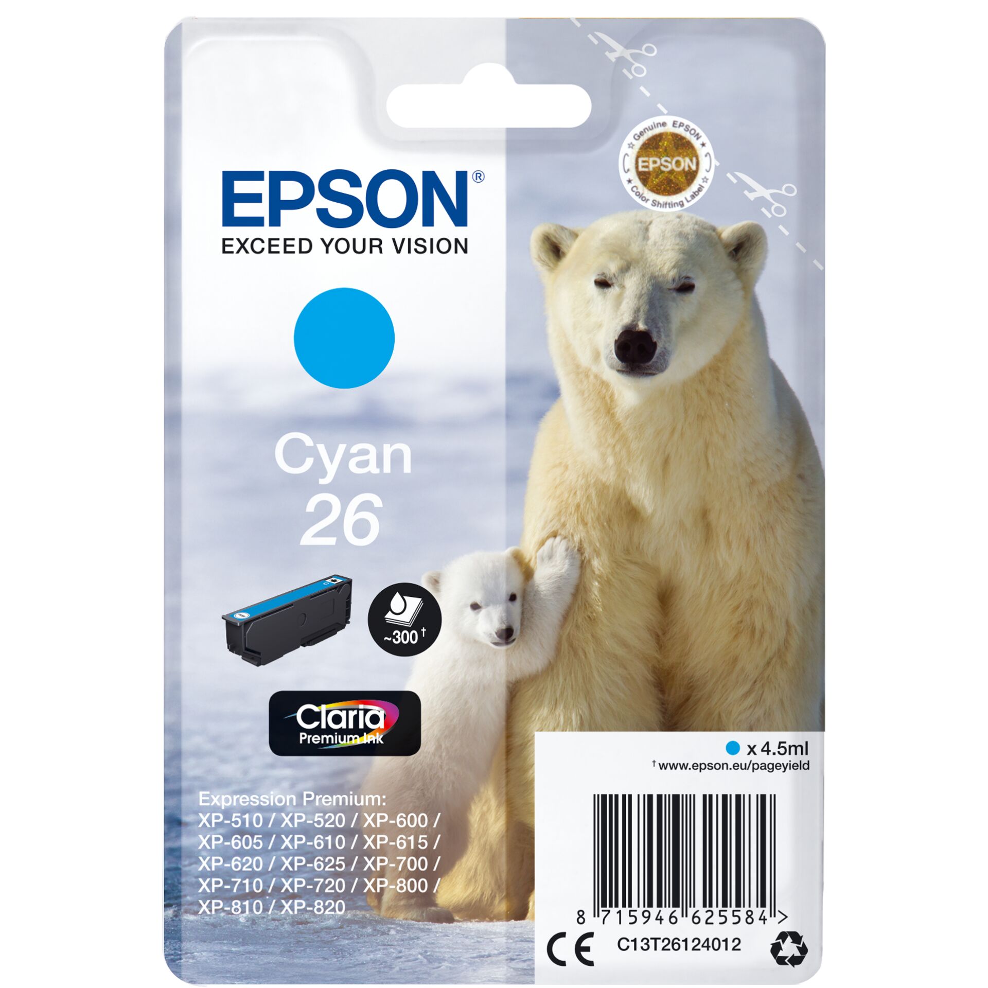 Animal, Bear, Mammal, Wildlife, Polar Bear