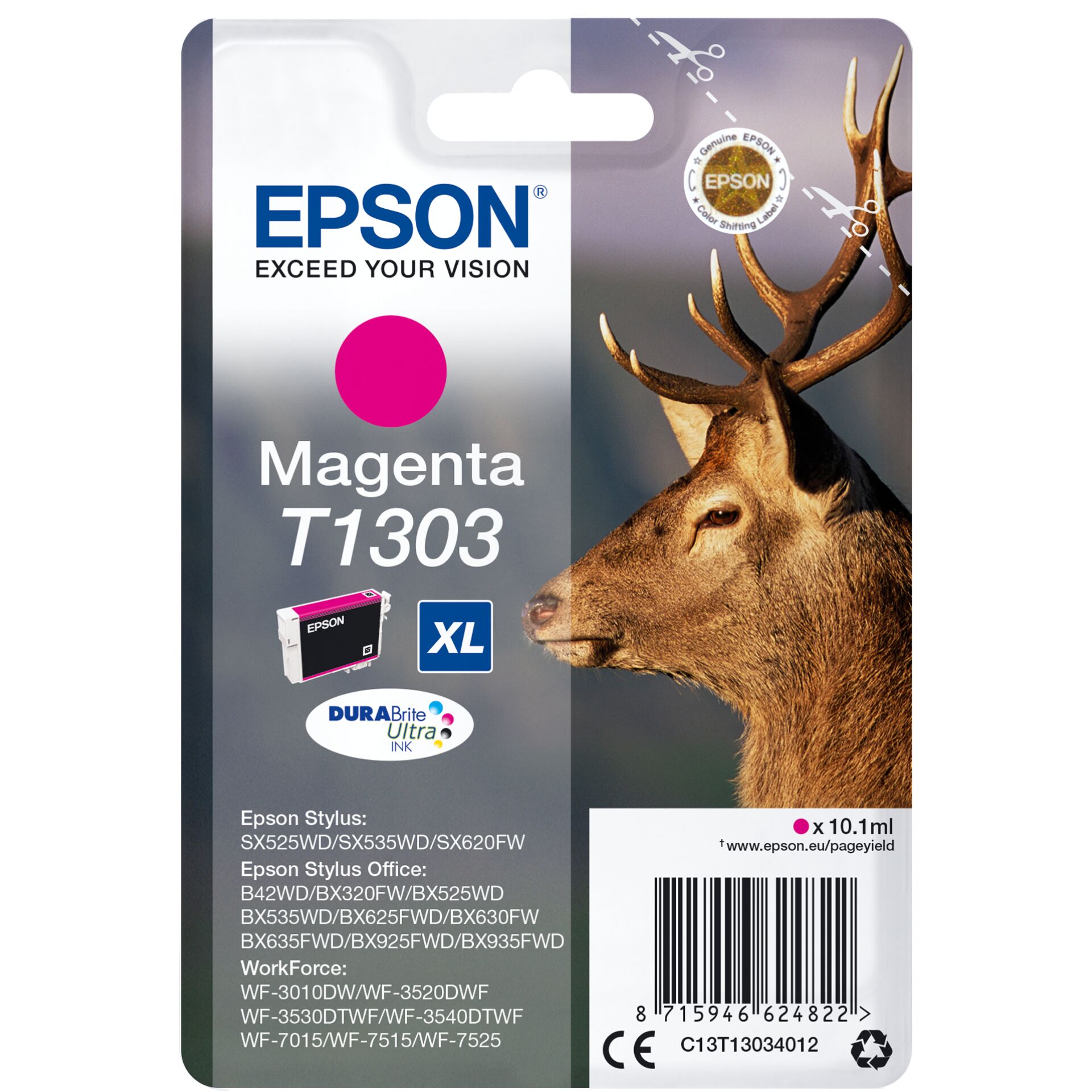 Animal, Deer, Mammal, Wildlife, Antelope