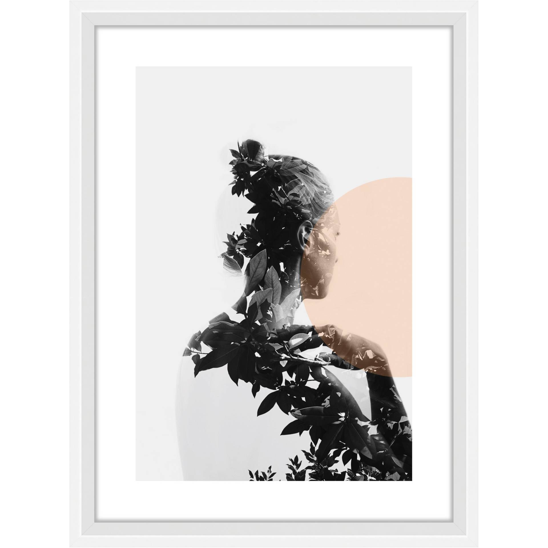 Photographie, Portrait, Kunst, Malerei, Pflanze